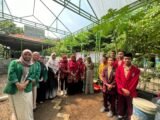 Kunjungan Mahasiswa dan Dosen UNUSA ke Greenhouse SMP Bilingual Terpadu